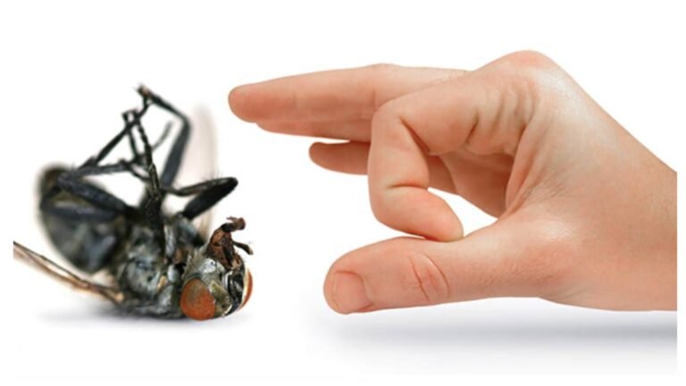 Keep Bugs Away From Your Property