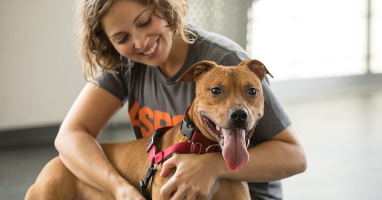 Adopting a Pet