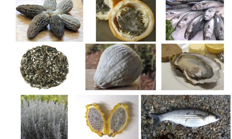 Photo of How to Make the Most of Gray Foods in Your Cooking