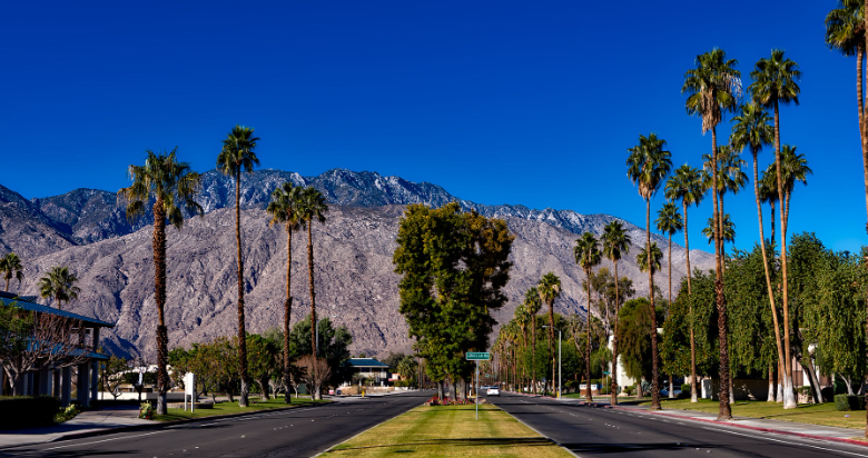 Photo of Vacation Guide for Palm Desert