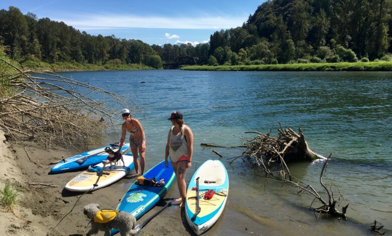 Photo of The Mighty Edder River: A Journey Through Ireland’s Wild West
