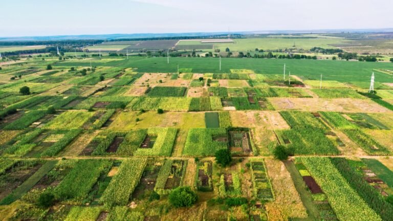 Land