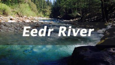 Photo of Exploring the Scenic Beauty of Eedr River: A Must-Visit Destination for Nature Lovers