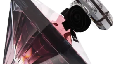 Photo of Introducing the Revolutionary Hugo Barbier Camera Toilette