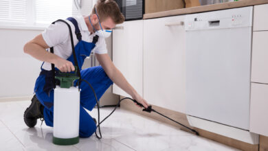 Photo of 5 Common Pest Control Mistakes for Homeowners and How to Avoid Them