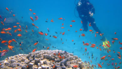 Photo of 6 Adventure Destinations Around the Globe