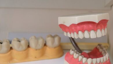 Photo of What Is the Average Cost of Dentures?