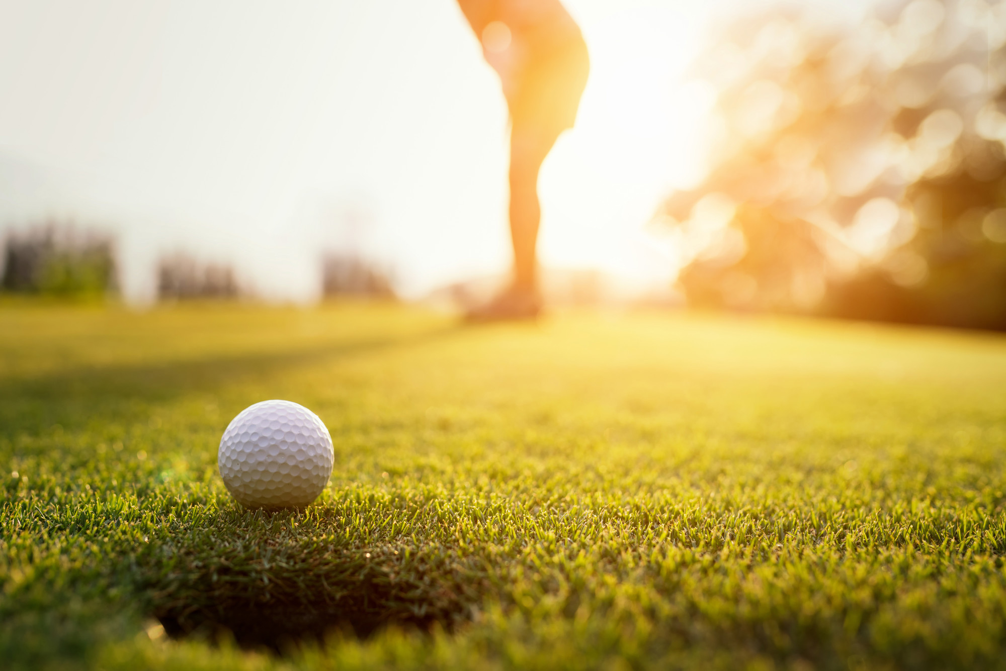 golf putting aids