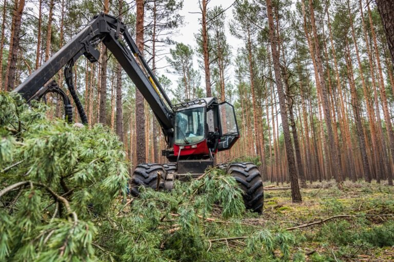 land clearing