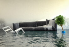 Photo of What to Do If Your Basement Floods