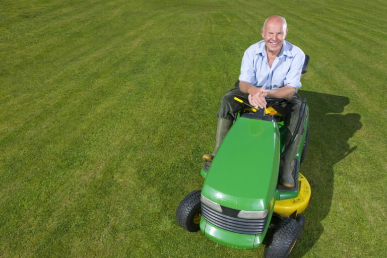 errors in lawn maintenance