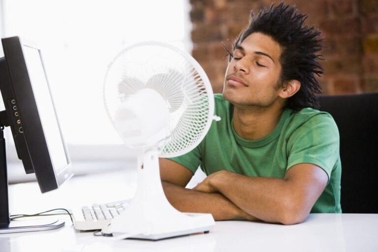 fan