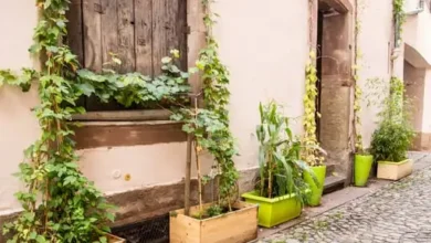 Photo of The Complete Guide to Choosing Commercial Planters: Everything to Know