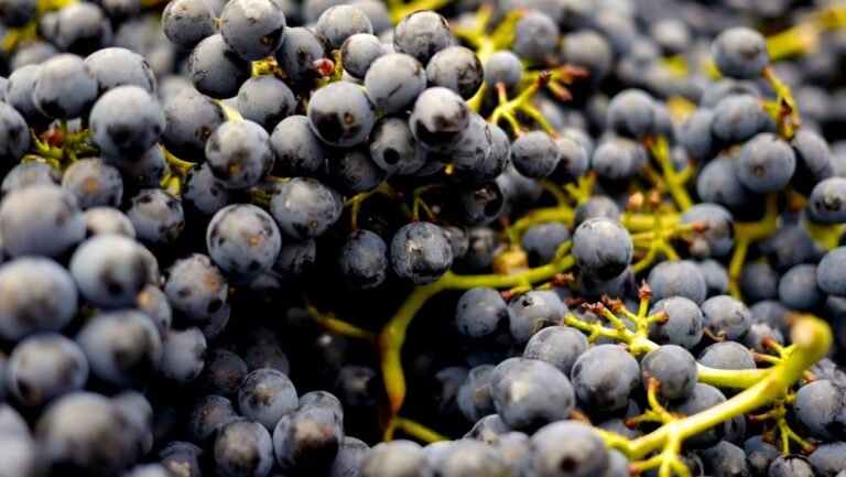 are grapes keto