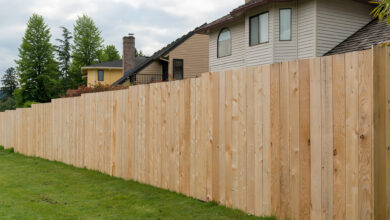 Photo of How to Create More Backyard Privacy