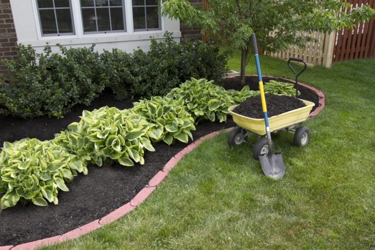 deweeding