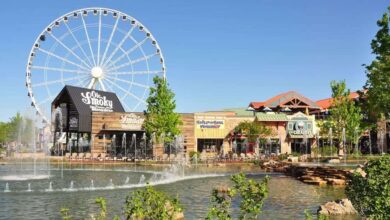 Photo of 7 Hidden Things to Do in Pigeon Forge
