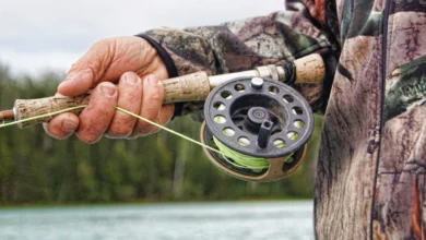 Photo of How to Set Up Fly Fishing Line: A Guide for Beginners