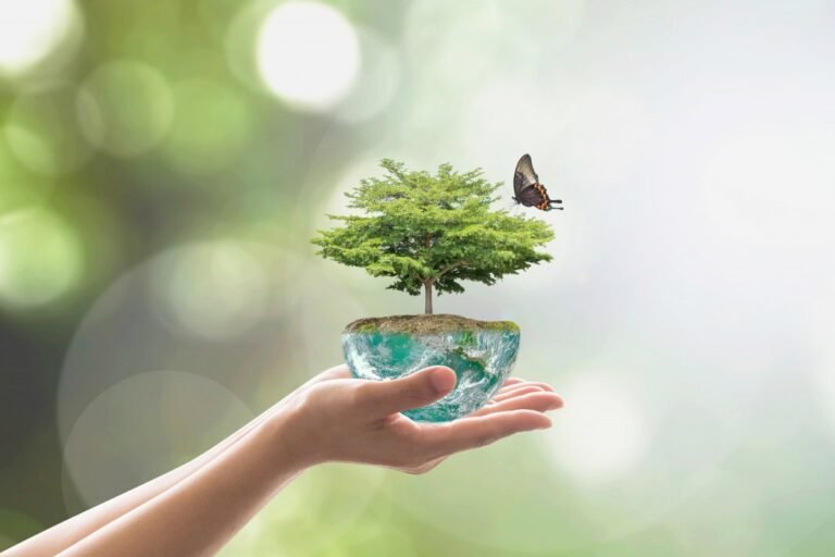 Sustainability