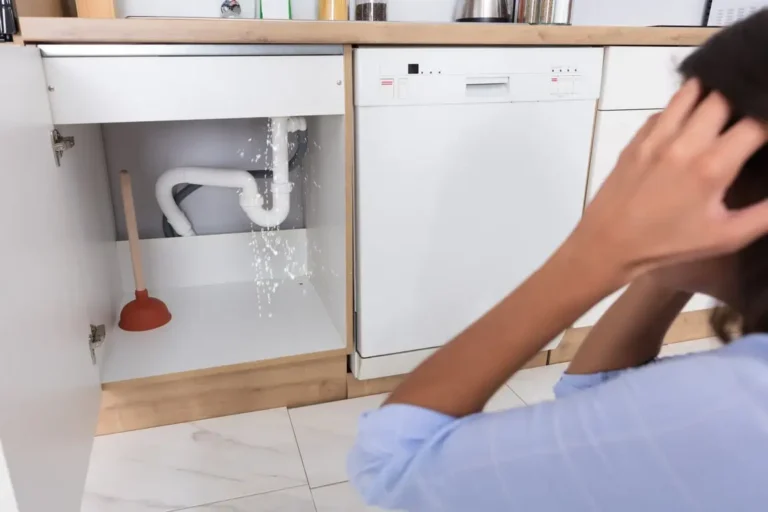 emergency plumber kennesaw