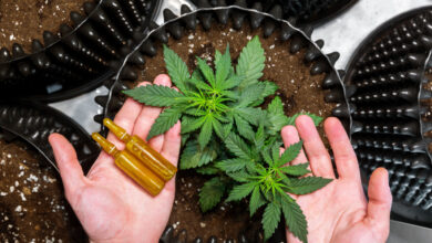 Photo of Understanding the Different Types of CBD and Their Benefits