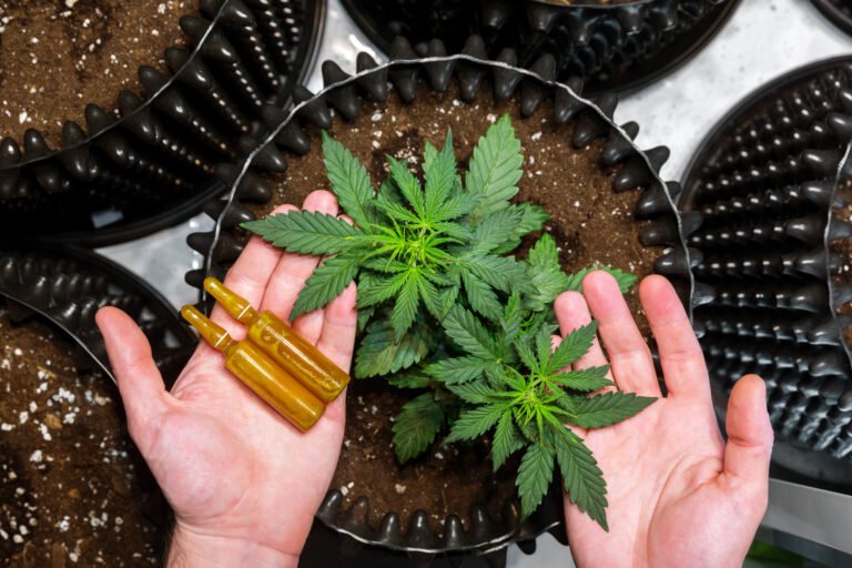 types of CBD