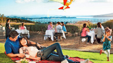 Photo of 4 Exciting Vacations to Consider This Year