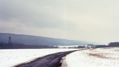 Photo of Thinking of Moving and Shipping Your Car to Pennsylvania? Read This