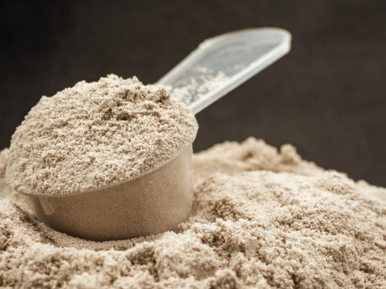 Protein Powders