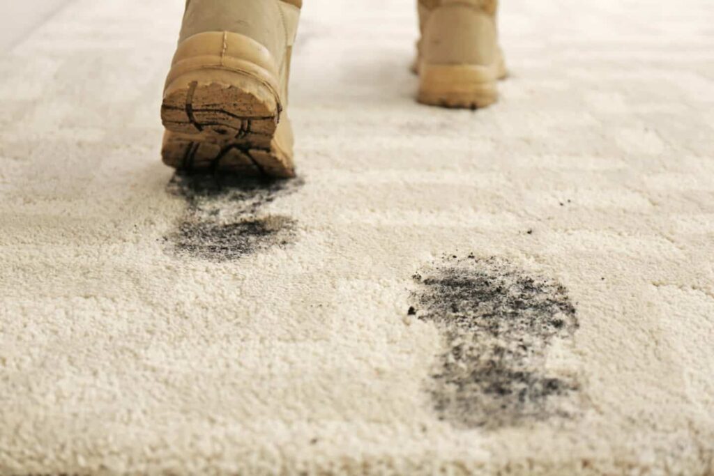 The Underlying Causes Of Dirty Carpets A Comprehensive Exploration