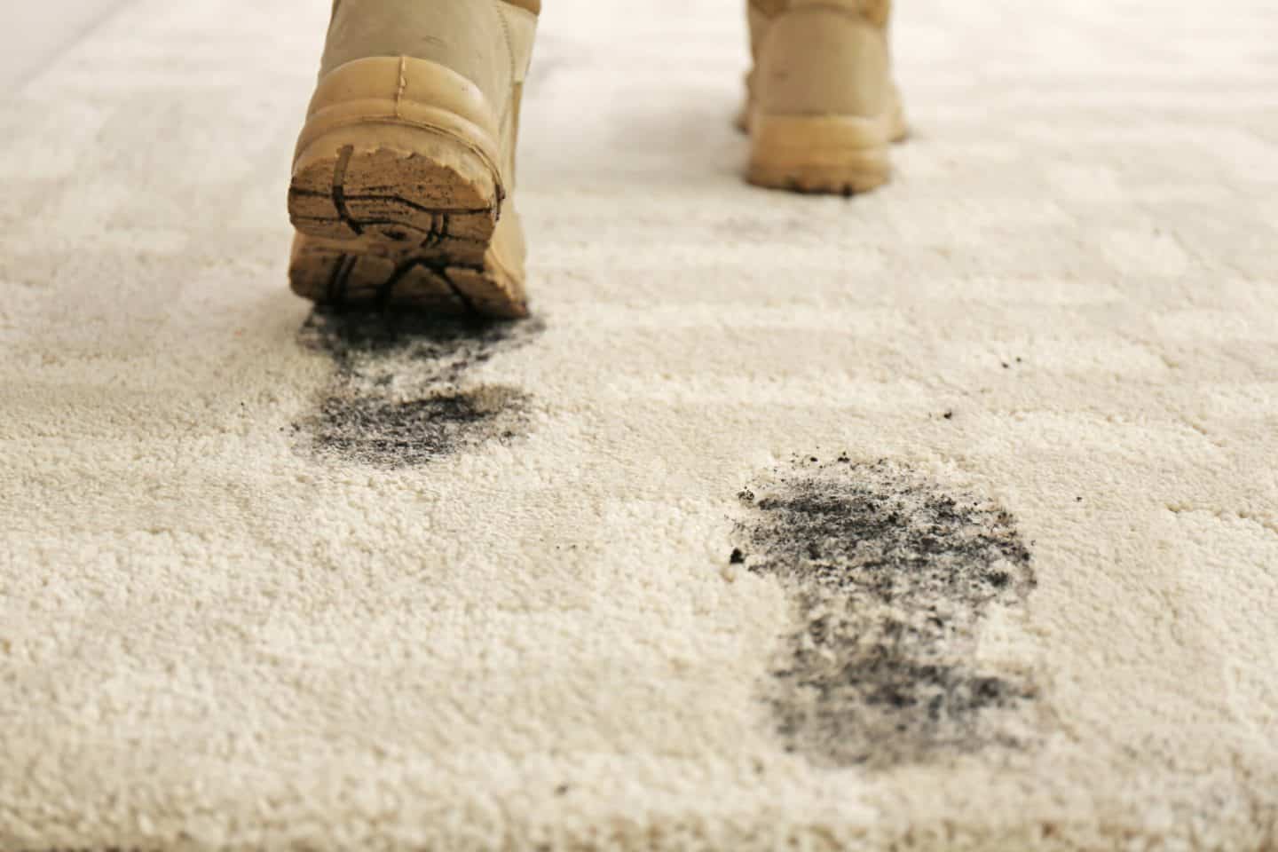 Dirty Carpets