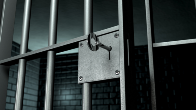 Photo of Securing Order Behind Bars: The Evolution and Innovation of Prison Security Locks