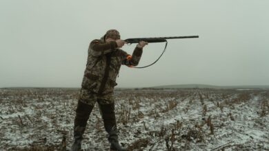 Photo of Here’s What You Should Know Before You Start Hunting Deer
