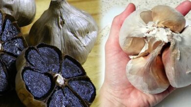 Photo of Fresh Garlic vs. Black Garlic: A Comprehensive Guide