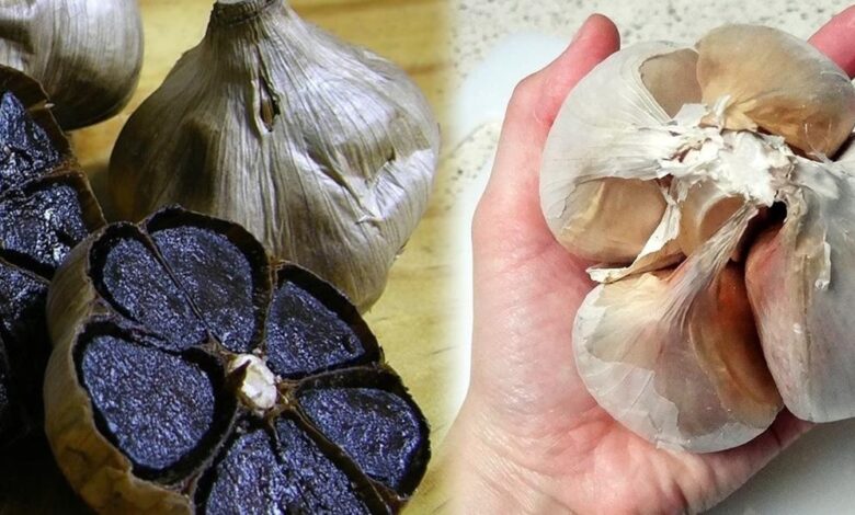 Photo of Fresh Garlic vs. Black Garlic: A Comprehensive Guide