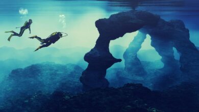 Photo of OceanIG Study Ocean: The Ultimate 2025 Guide to Studying the Ocean