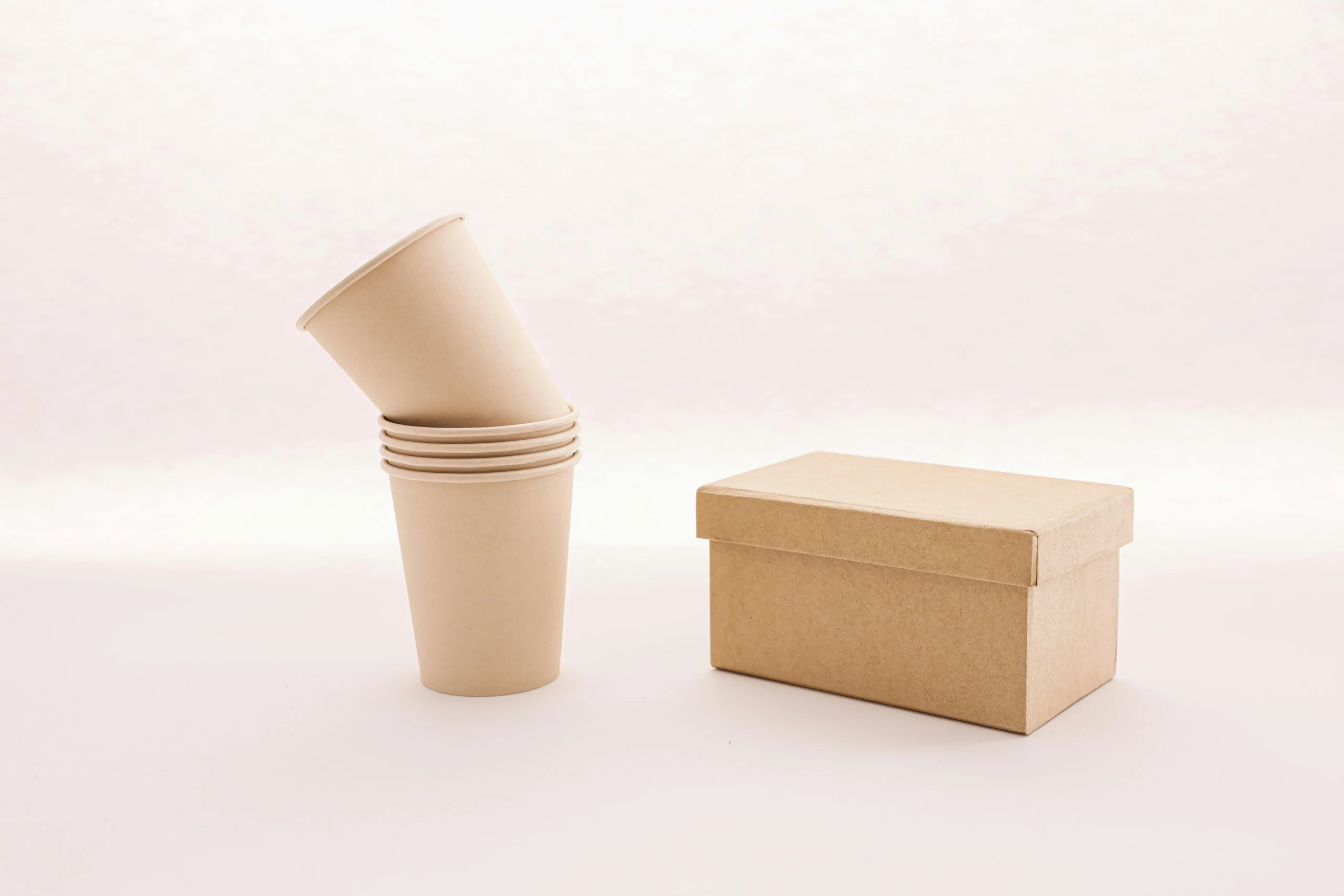 Cardboard Food Packaging